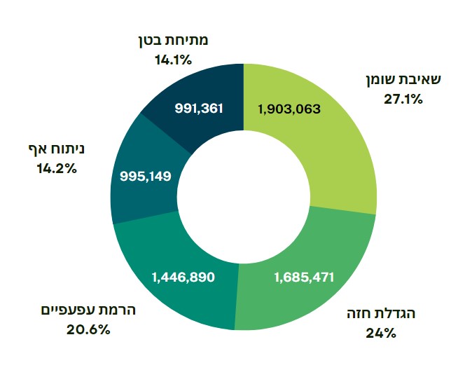 5 הניתוחים הפלסטיים הפופולריים בעולם